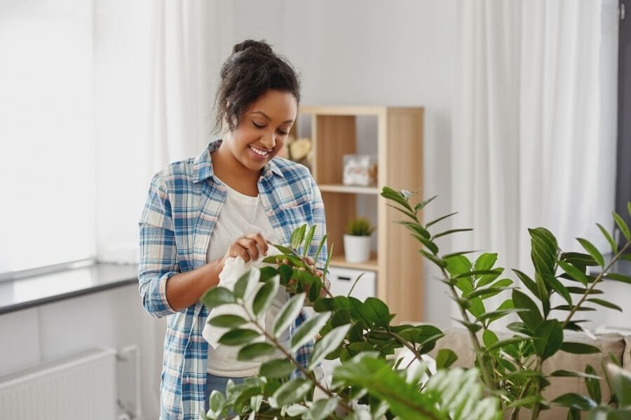 6 Houseplants and Their Health Benefits | Naturopathic Dr Woman with her Houseplants